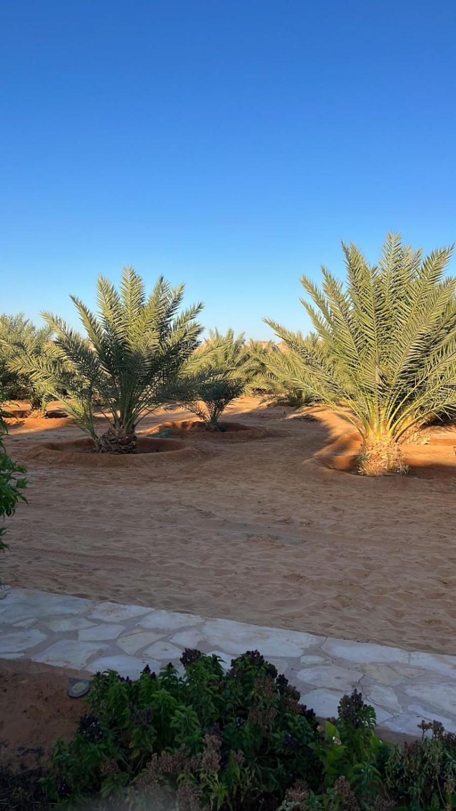 Appartement منتجع إستكنان The Quite 2 à Al-Ula Extérieur photo